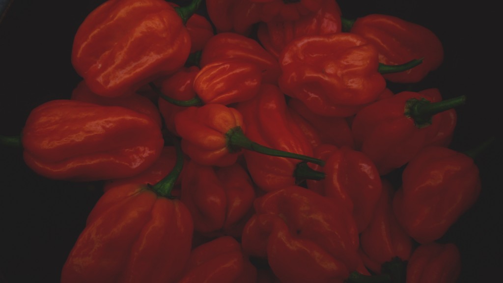 Bhut Jolokia