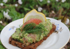 Guacamole på svenska