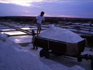 Foto Hjalmar Dahm